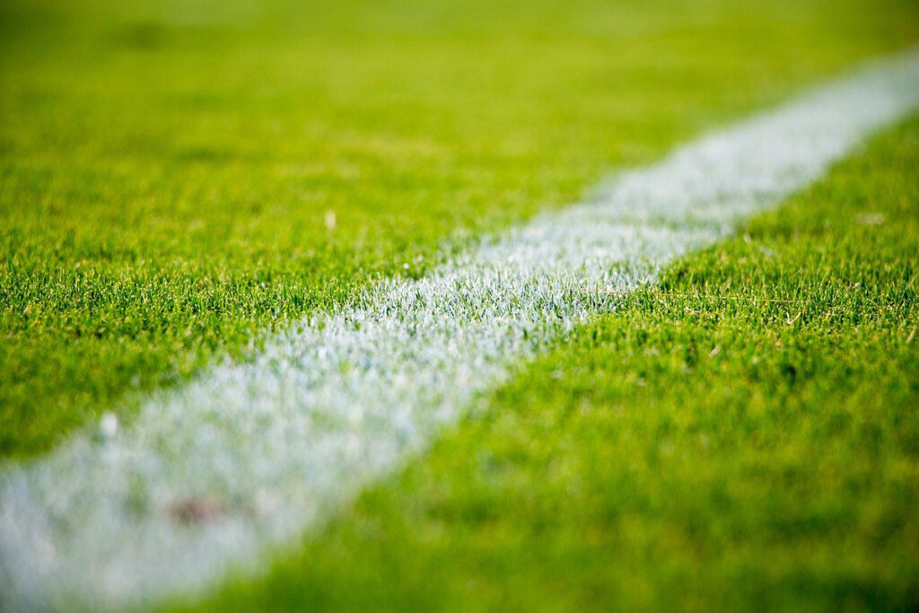Campo calcio erba. 📷 StockSnap | Pixabay