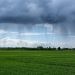Agricoltura pioggia. 📷 Thomas B. | Pixabay
