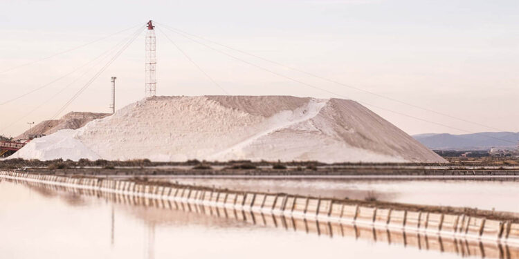 Saline Conti Vecchi. 📷 Manuela Meloni 2017 - FAI - Fondo Ambiente Italiano