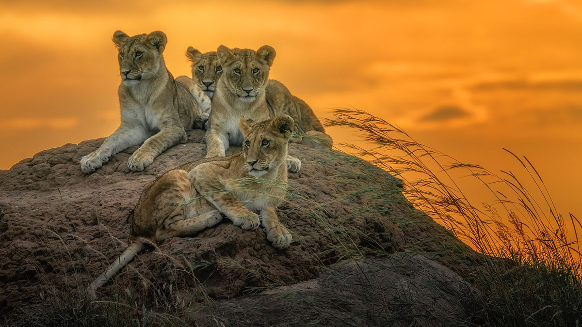 Prorogata la mostra fotografica “La Grande Meraviglia” di Giuseppe Cuneo -  S&H Magazine